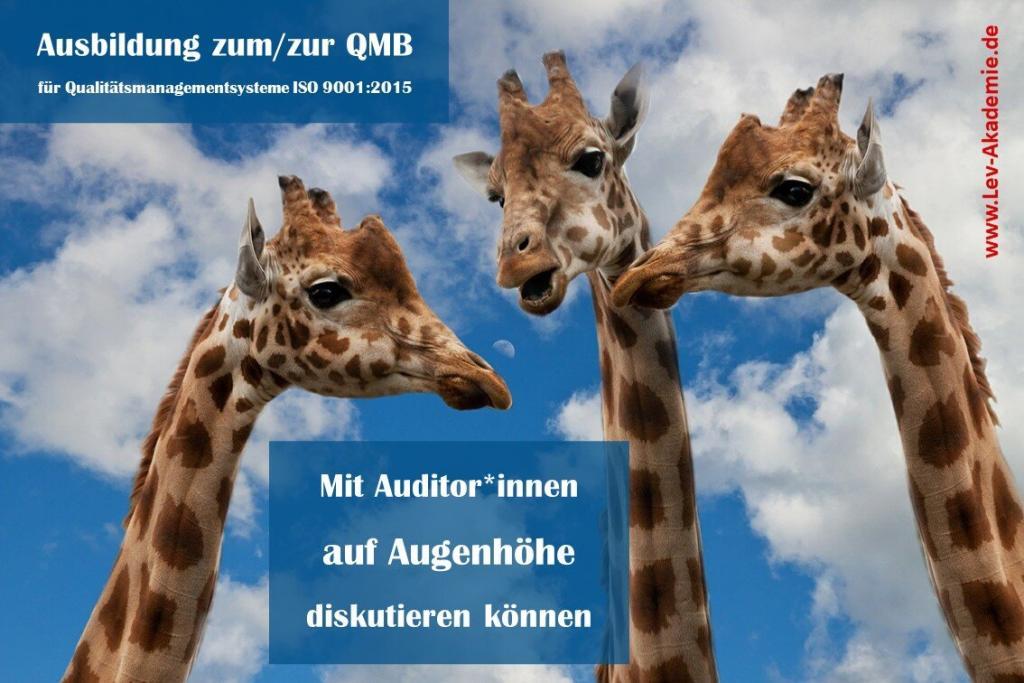 QMB-Ausbildung ISO 9001 - Auf Augenhöhe